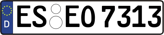 ES-EO7313