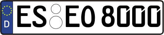 ES-EO8000