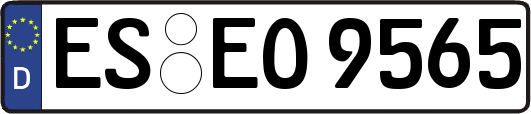 ES-EO9565