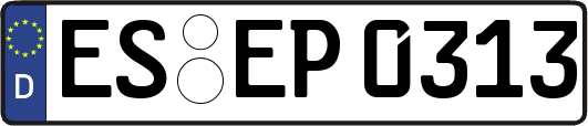 ES-EP0313