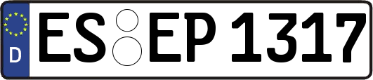 ES-EP1317