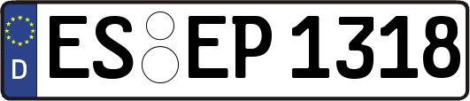 ES-EP1318