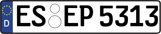 ES-EP5313