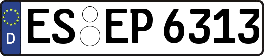 ES-EP6313
