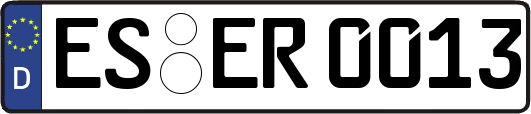 ES-ER0013