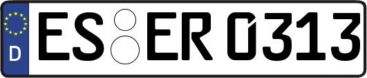 ES-ER0313