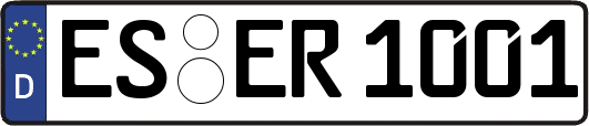 ES-ER1001