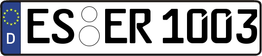 ES-ER1003