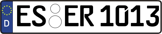 ES-ER1013