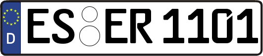ES-ER1101