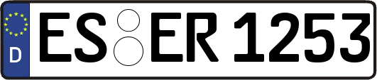 ES-ER1253