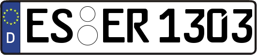 ES-ER1303