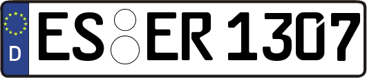 ES-ER1307