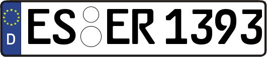 ES-ER1393