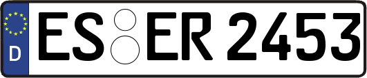 ES-ER2453