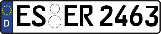 ES-ER2463