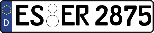 ES-ER2875