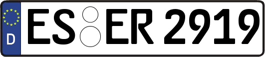 ES-ER2919