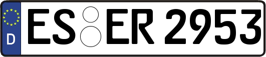 ES-ER2953