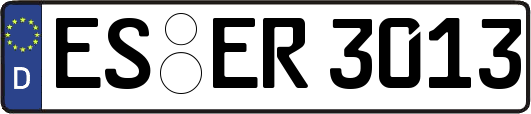 ES-ER3013