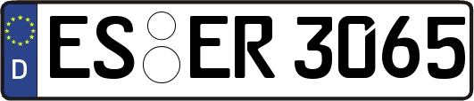 ES-ER3065