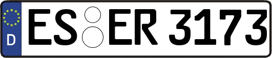 ES-ER3173
