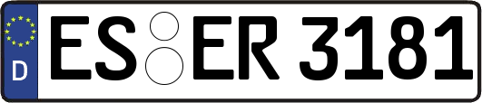 ES-ER3181