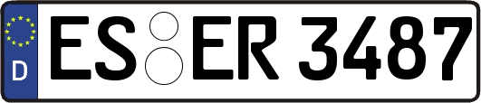 ES-ER3487
