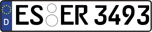 ES-ER3493