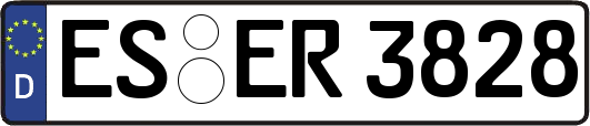 ES-ER3828