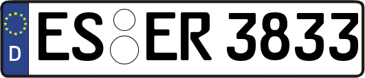 ES-ER3833