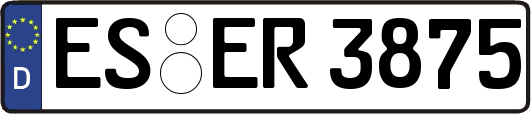ES-ER3875
