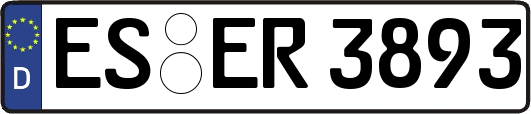 ES-ER3893