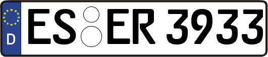ES-ER3933