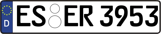 ES-ER3953