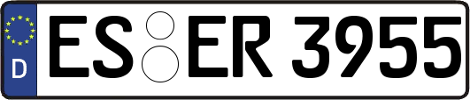 ES-ER3955