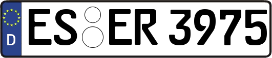 ES-ER3975