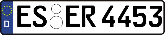 ES-ER4453