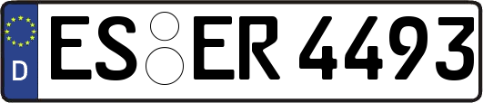 ES-ER4493