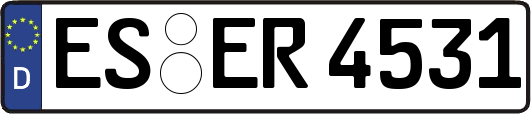 ES-ER4531