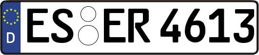 ES-ER4613
