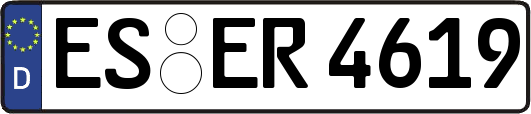 ES-ER4619