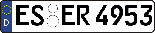ES-ER4953