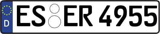 ES-ER4955