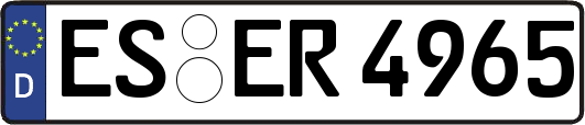 ES-ER4965