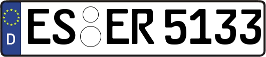 ES-ER5133