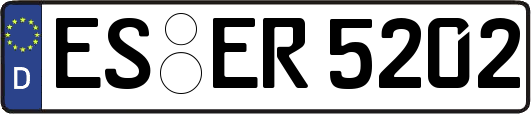 ES-ER5202