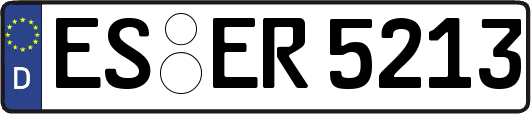 ES-ER5213