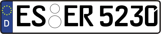 ES-ER5230