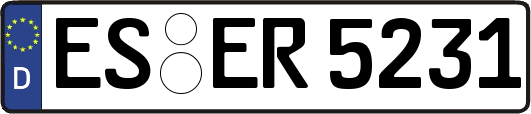 ES-ER5231